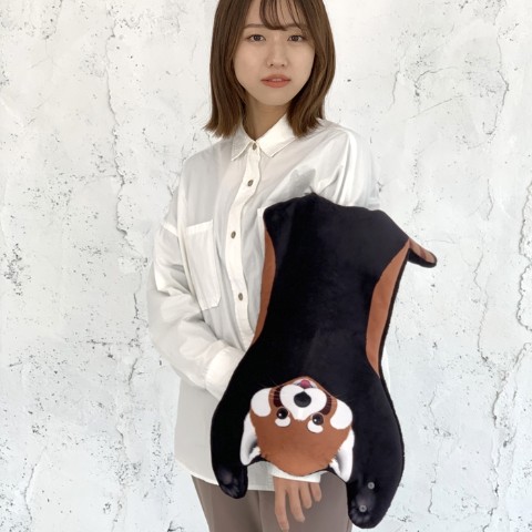 MATAGI:レッサーパンダ/REDPANDA