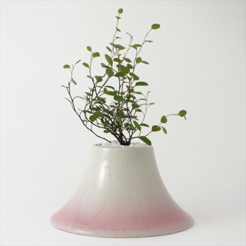 Plant Fuji （薄紅色・Ｓサイズ）